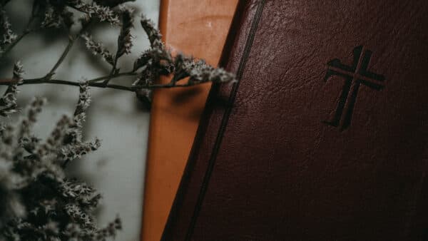 November 2021 Bible Shoot 16