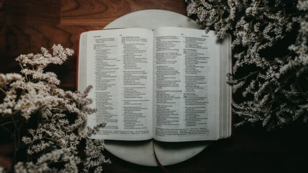 November 2021 Bible Shoot 18