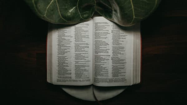 November 2021 Bible Shoot 19