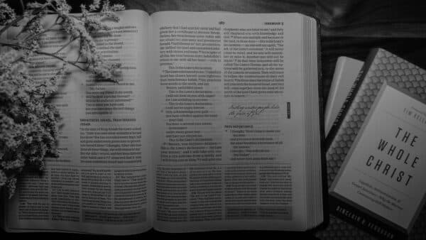 November 2021 Bible Shoot 22