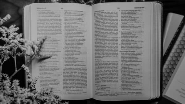 November 2021 Bible Shoot 24