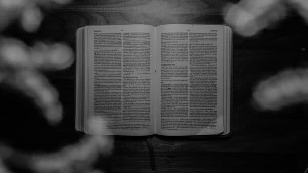 November 2021 Bible Shoot 26