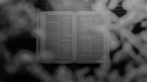 November 2021 Bible Shoot 27