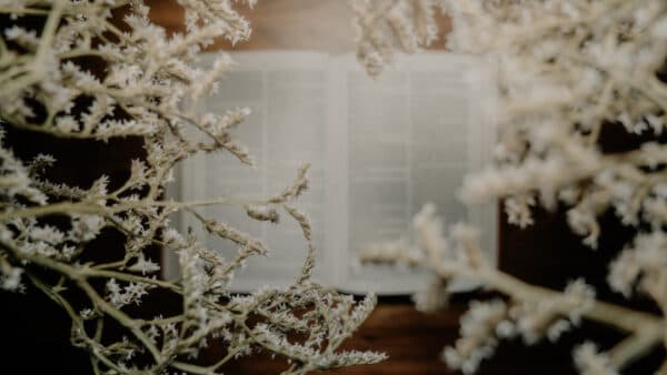 November 2021 Bible Shoot 28