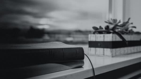 November 2021 Bible Shoot 31