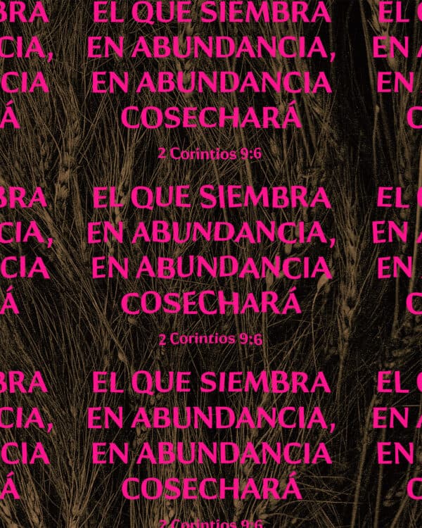 El que siembra en abundancia, en abundancia cosechará - 2 Corintios 9:6