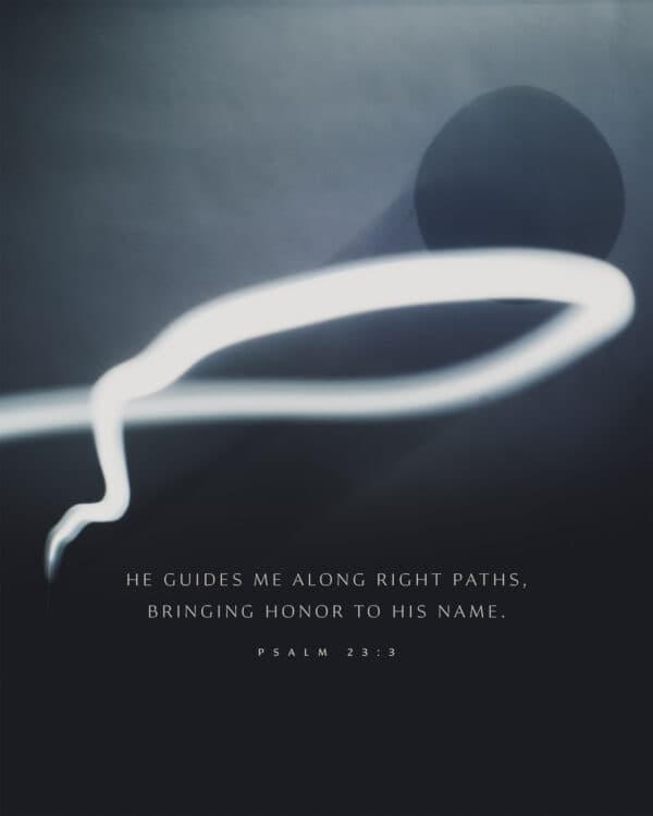 He guides me along right paths, bringing honor to his name. - Psalm 23:3