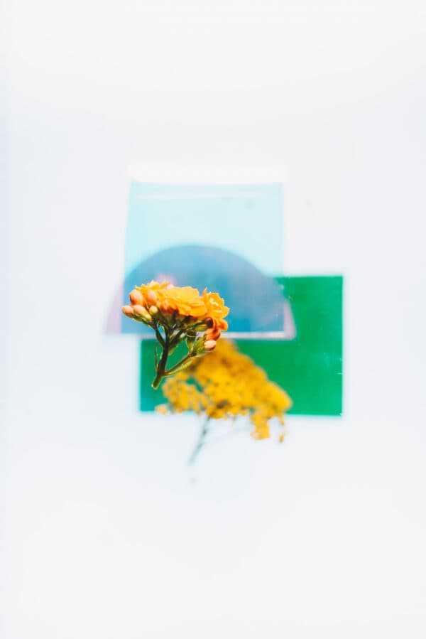 Easter Life 2