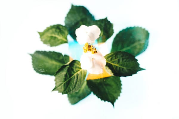 Easter Life 5