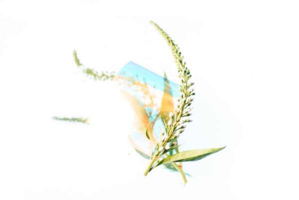 Easter Life 8