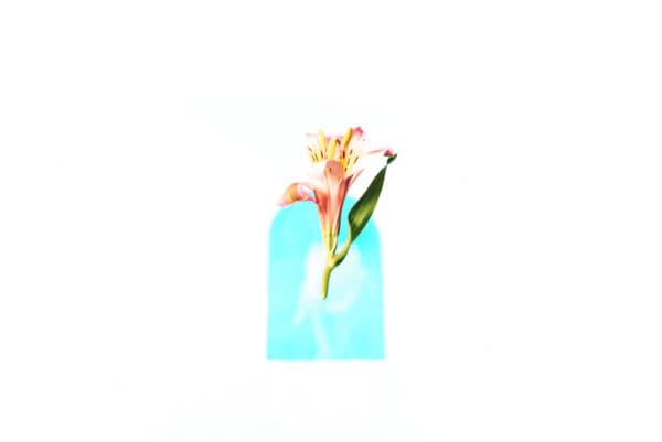 Easter Life 16
