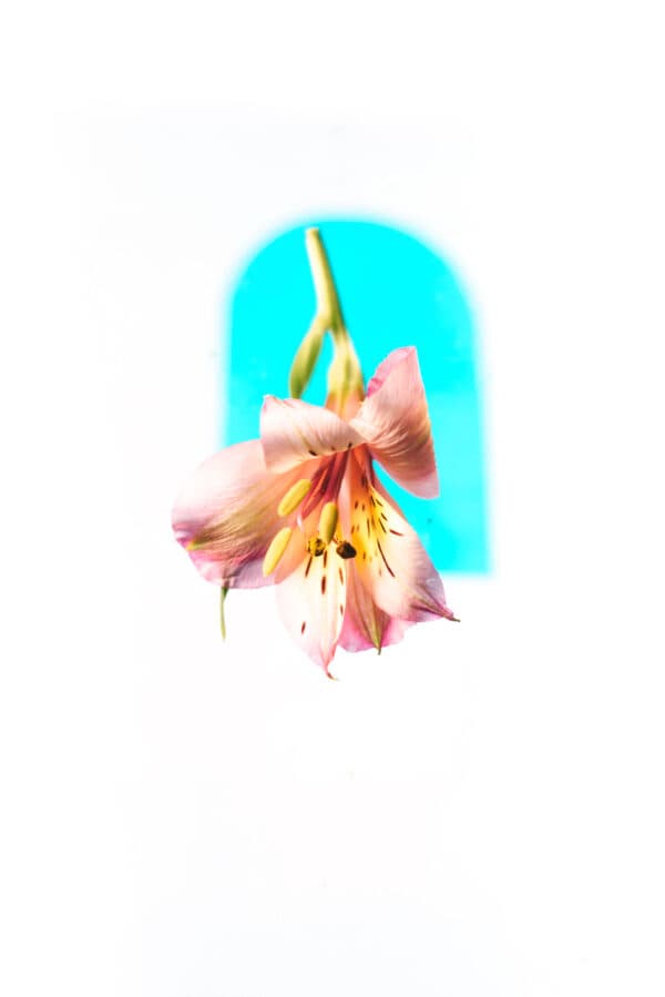 Easter Life 17