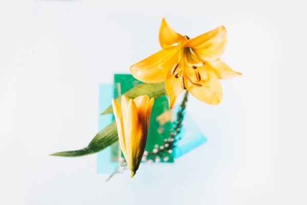 Easter Life 24