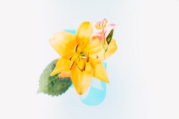 Easter Life 27