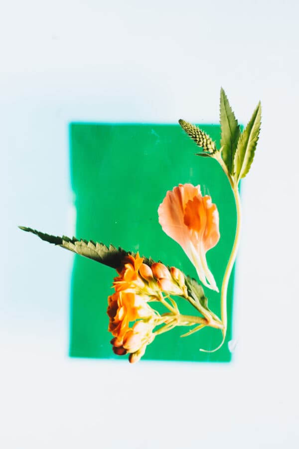 Easter Life 35