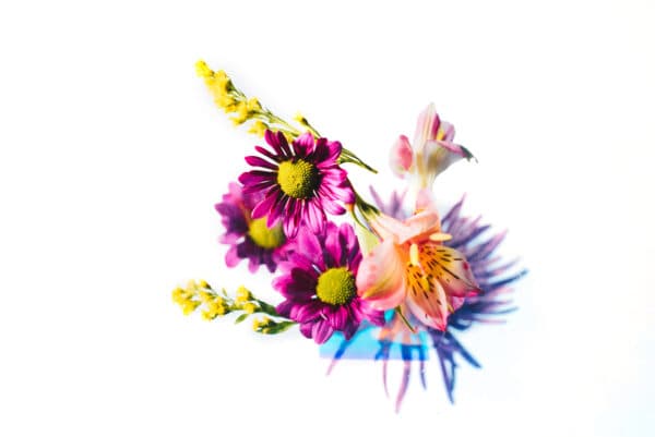 Easter Life 38