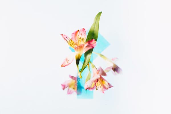 Easter Life 39
