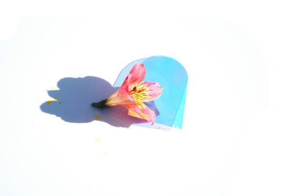 Easter Life 44