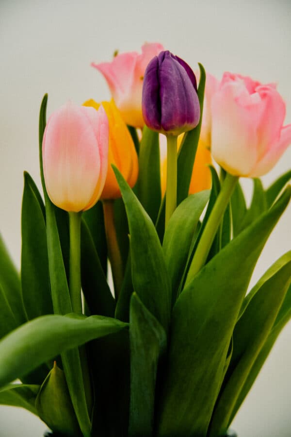 Easter Fun 5
