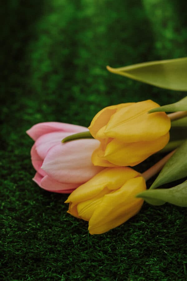 Easter Fun 9