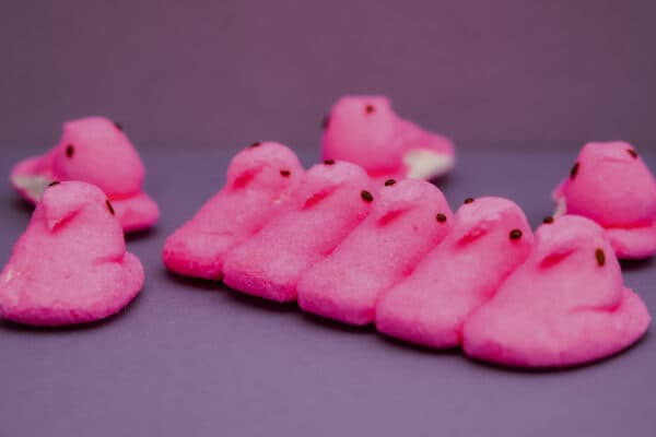 Easter Fun 16