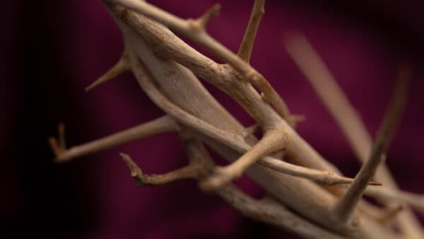 Easter Passion Elements 28