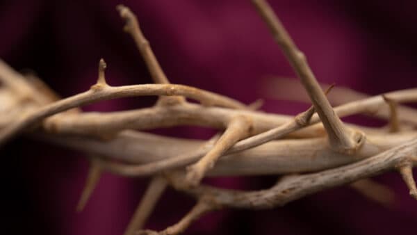 Easter Passion Elements 29