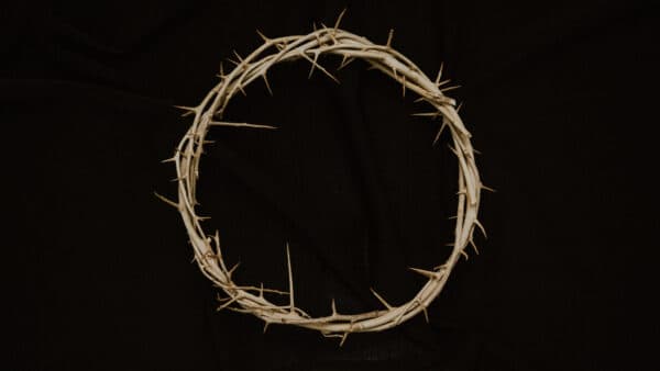 Easter Passion Elements 55