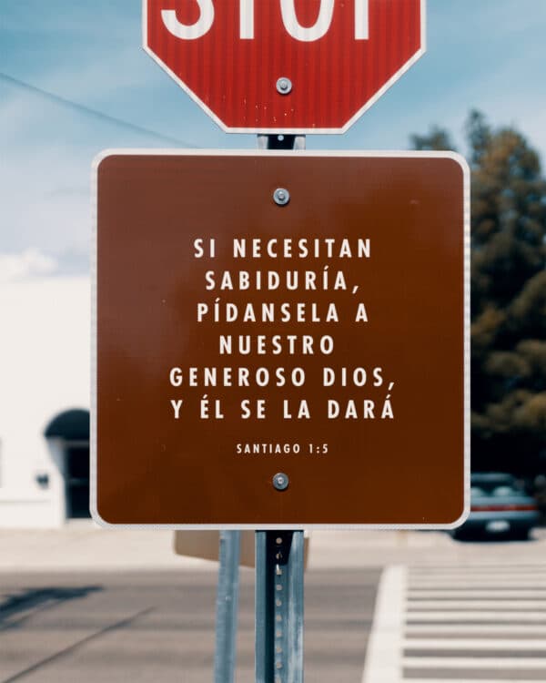 Si necesitan sabiduría, pídansela a nuestro generoso Dios, y Él se la dará. - Santiago 1:5