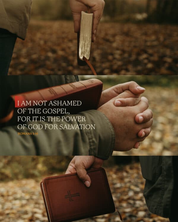 I am not ashamed of the gospel, for it is the power of God for salvation. - Romans 1:16