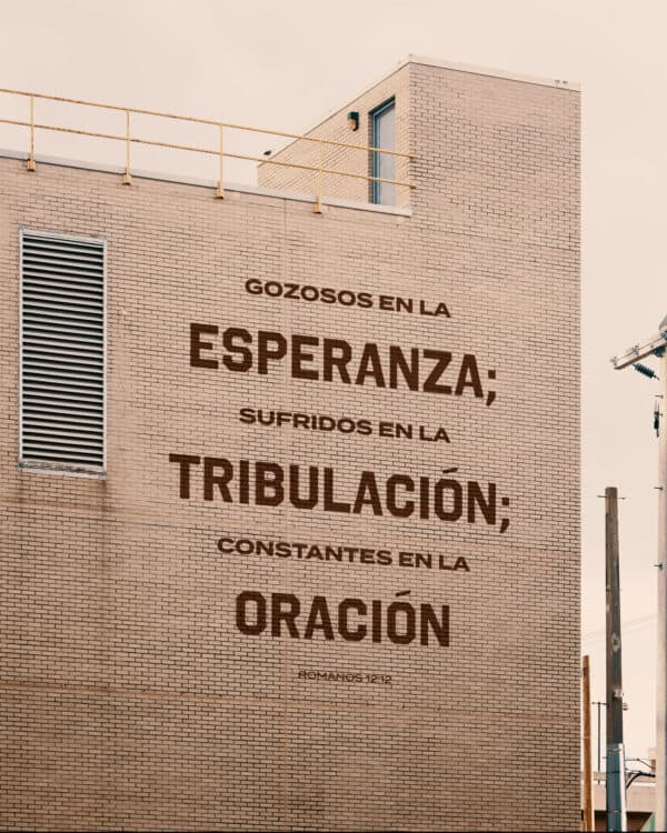 Vivan alegres por la esperanza que tienen; soporten con valor los sufrimientos; no dejen nunca de orar. - Romanos 12:12