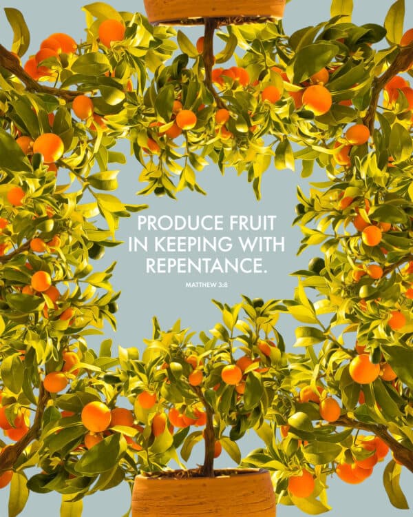 Produce fruit in keeping with repentance. - Matthew 3:8