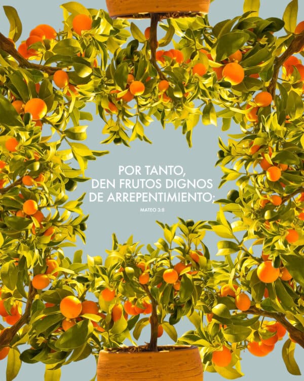 Por tanto, den frutos dignos de arrepentimiento; - Mateo 3:8