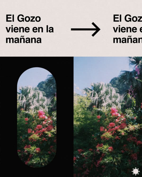 El Gozo viene en la mañana