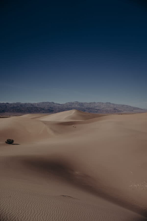 Death Valley Shoot 2