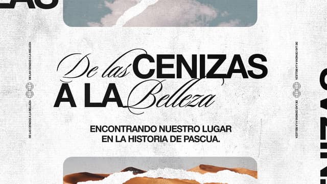 De las cenizas a la belleza: encontrando nuestro lugar en la historia de pascua.