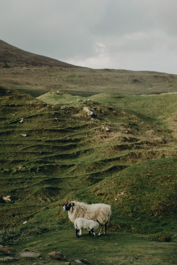 Scotland/Iceland Shoot 10