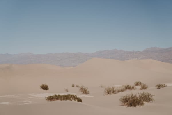 Death Valley Shoot 7