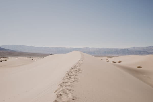 Death Valley Shoot 8