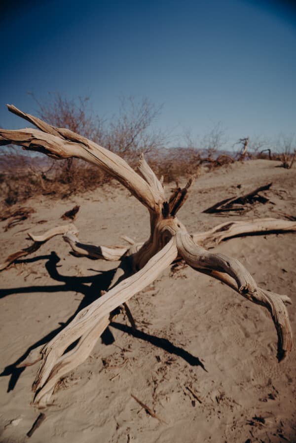 Death Valley Shoot 9