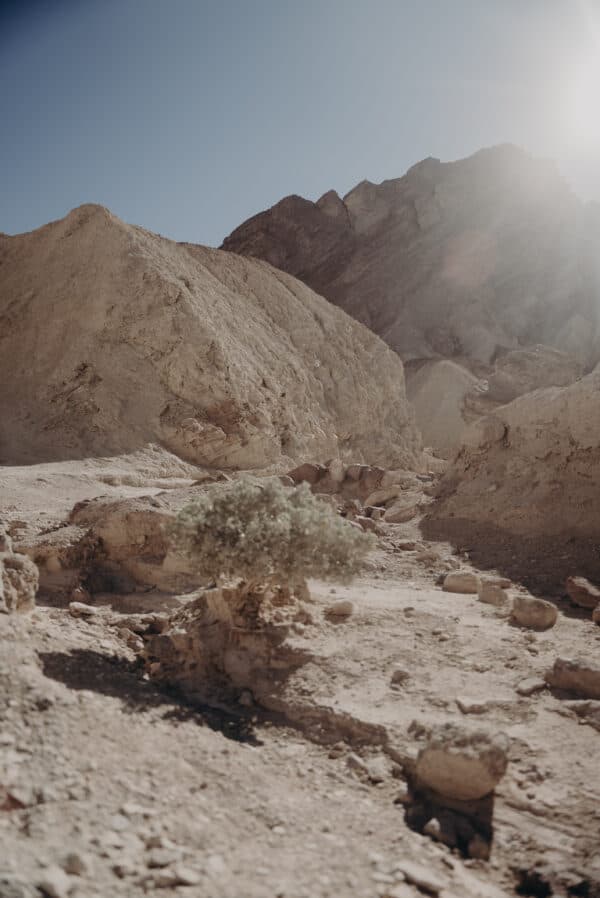 Death Valley Shoot 20