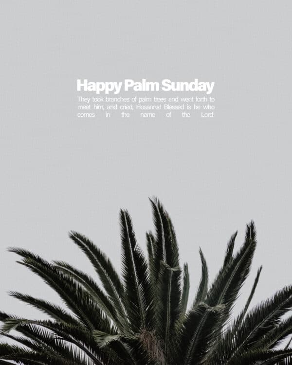 Happy Palm Sunday. They took branches of palm trees and went forth to meet him, and cried, Hosanna! Blessed is he who comes in the name of the Lord!