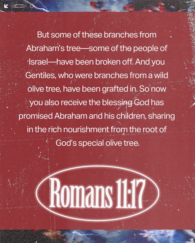 Scripture Posts