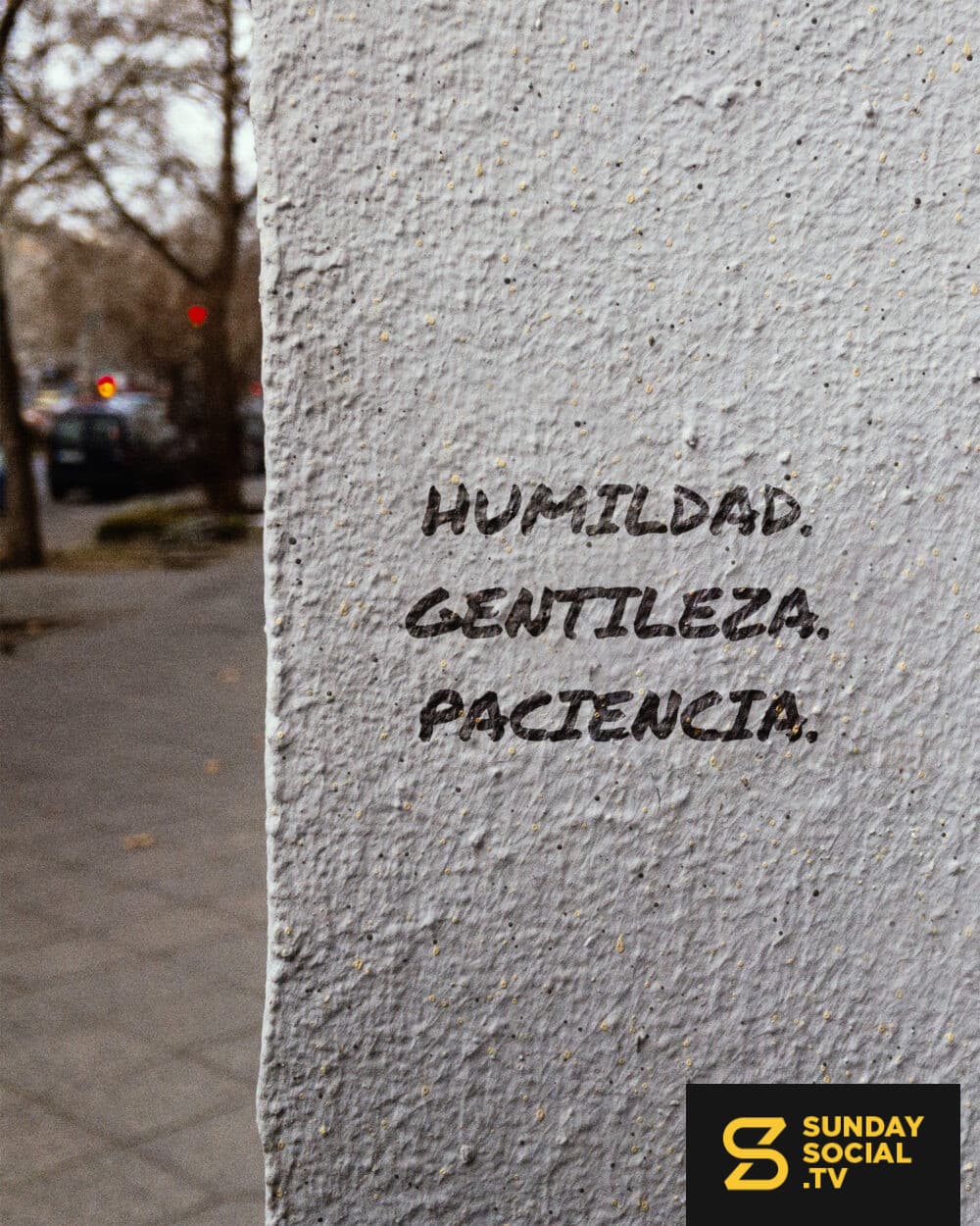 Humildad. Gentileza. Paciencia.