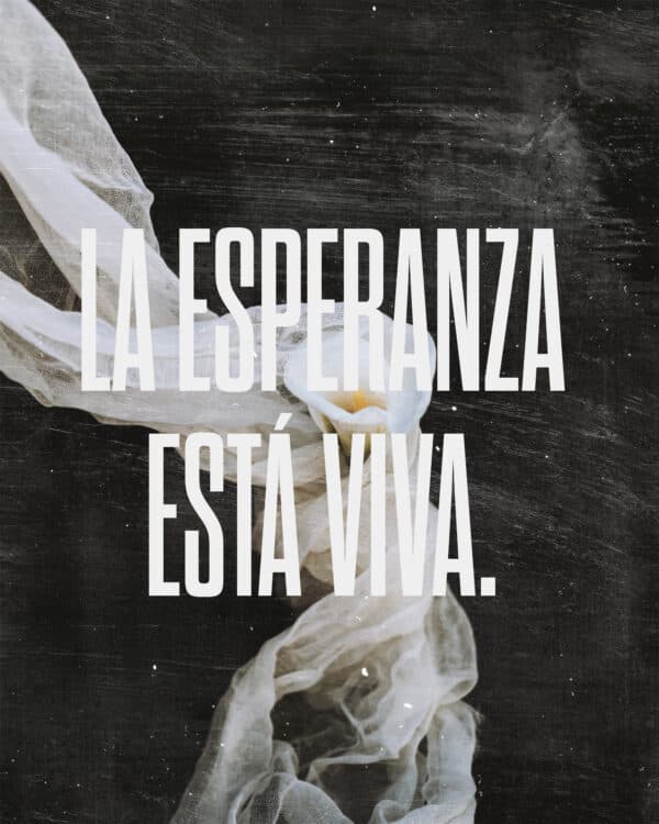 La esperanza está viva.