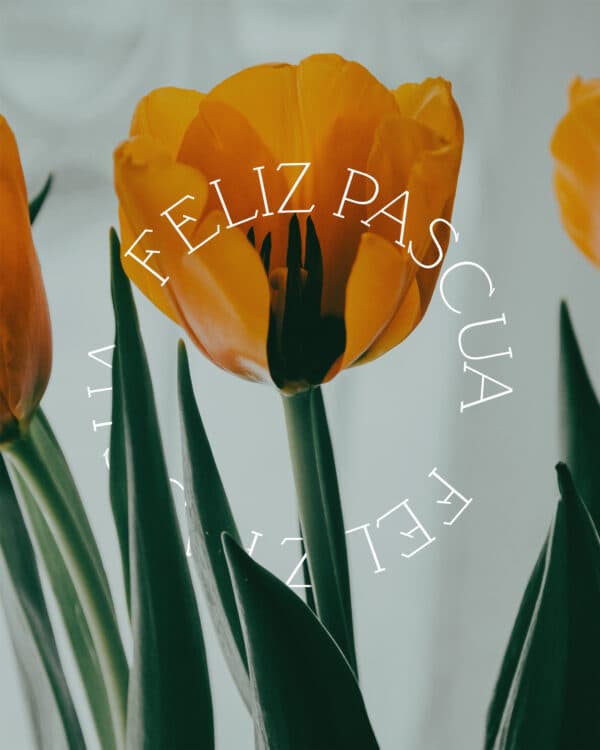 Feliz Pascua