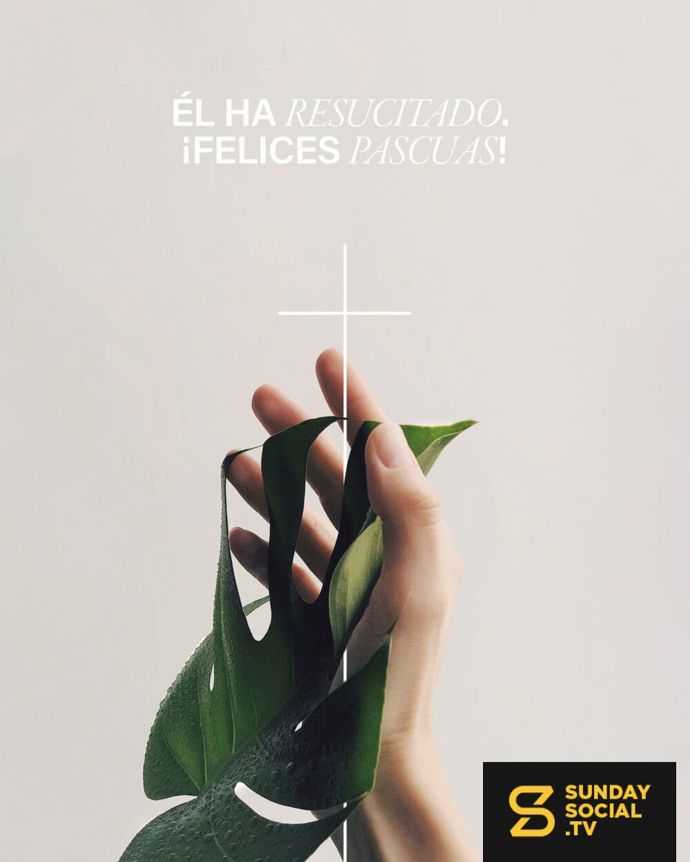 Él ha resucitado. ¡Felices Pascuas!