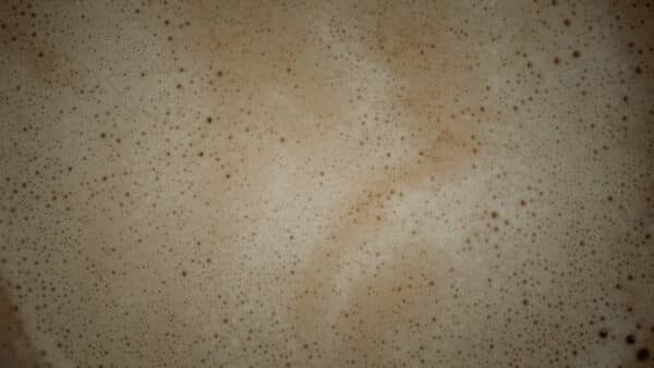 Textures Shoot 1