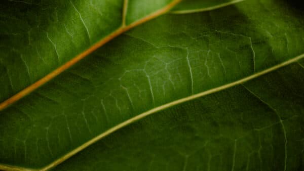 Textures Shoot 2