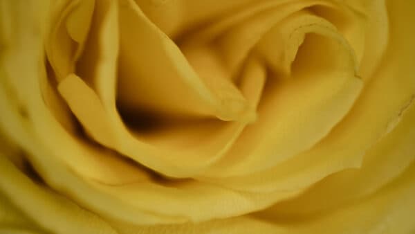 Textures Shoot 9